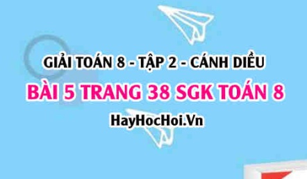 Bài 5 trang 38 Toán 8 Tập 2 Cánh Diều